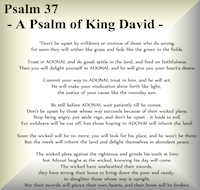 Psalm 37 - Psalm of King David